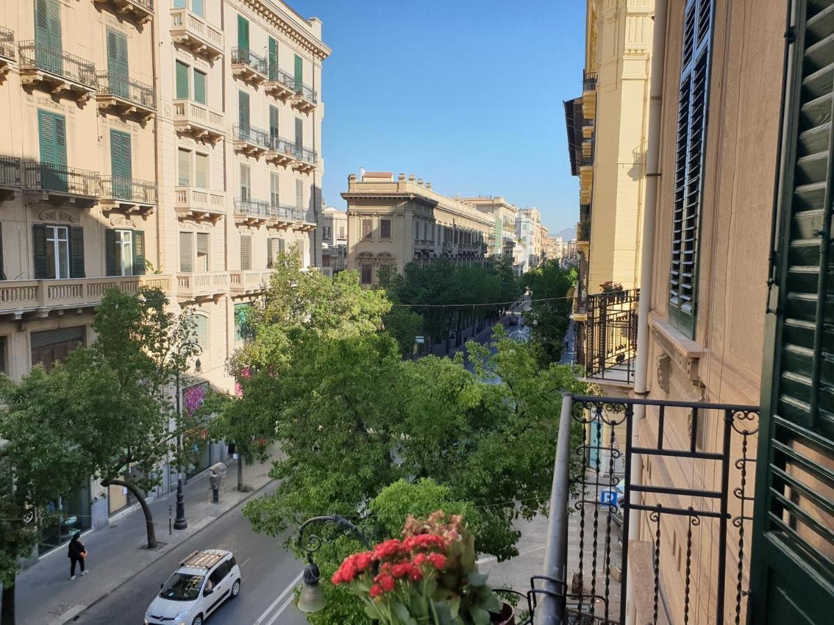 Hibrido, Palermo